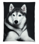 Preview: Renforcé Bettwäsche Husky