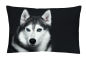 Preview: Renforcé Bettwäsche Husky3